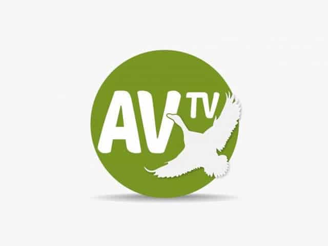 The logo of Av TV